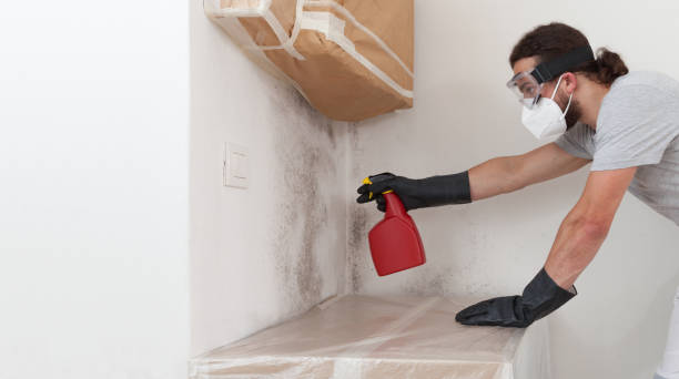 Professional Mold Remediation technician working in Maple, NC