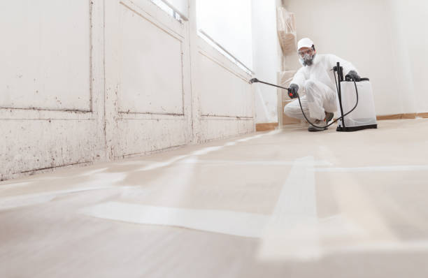 24/7 Emergency Mold Remediation experts in Maple, NC